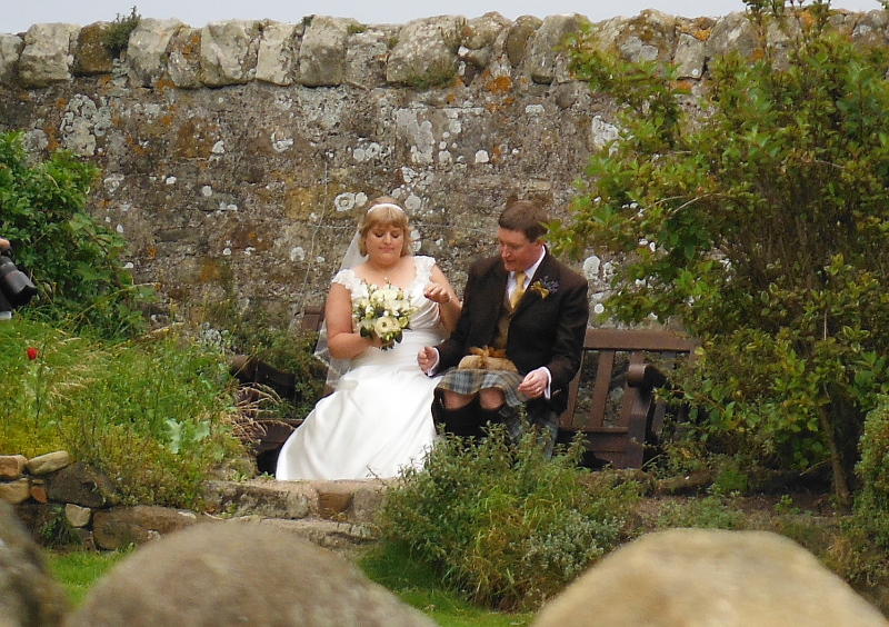  the bride and groom 