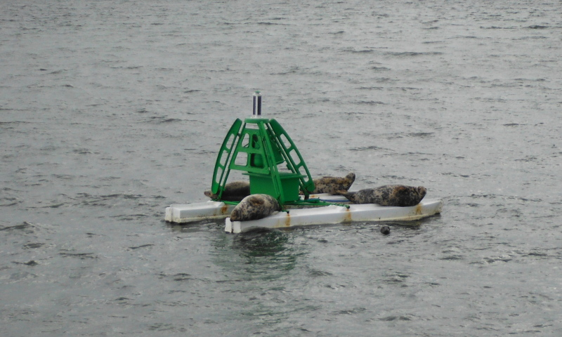  the seals on the buoy 