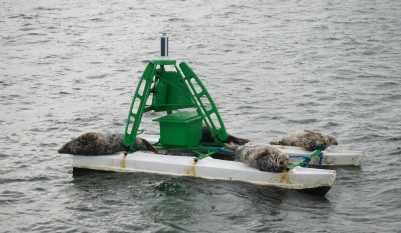  the seals on the buoy 